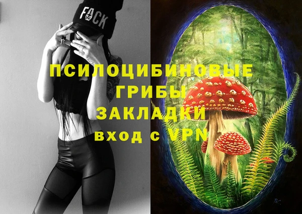 МДПВ Алзамай